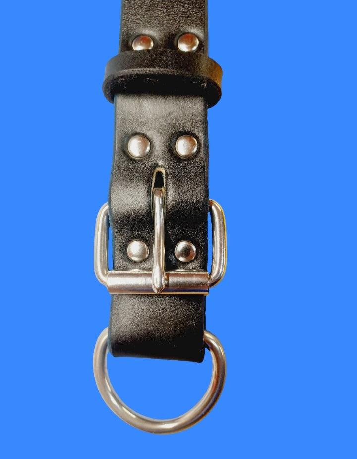 Wide leather collar 1.5"