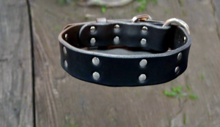 Wide leather collar 1.5"