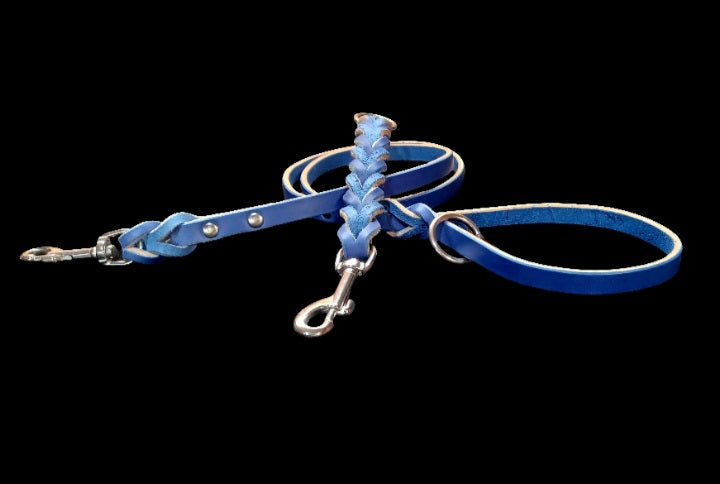 Blue leash and training tab