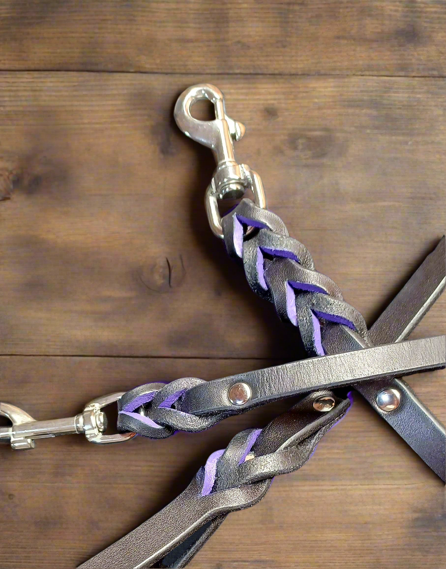 4' × 5/8" purple and black leash and tab set