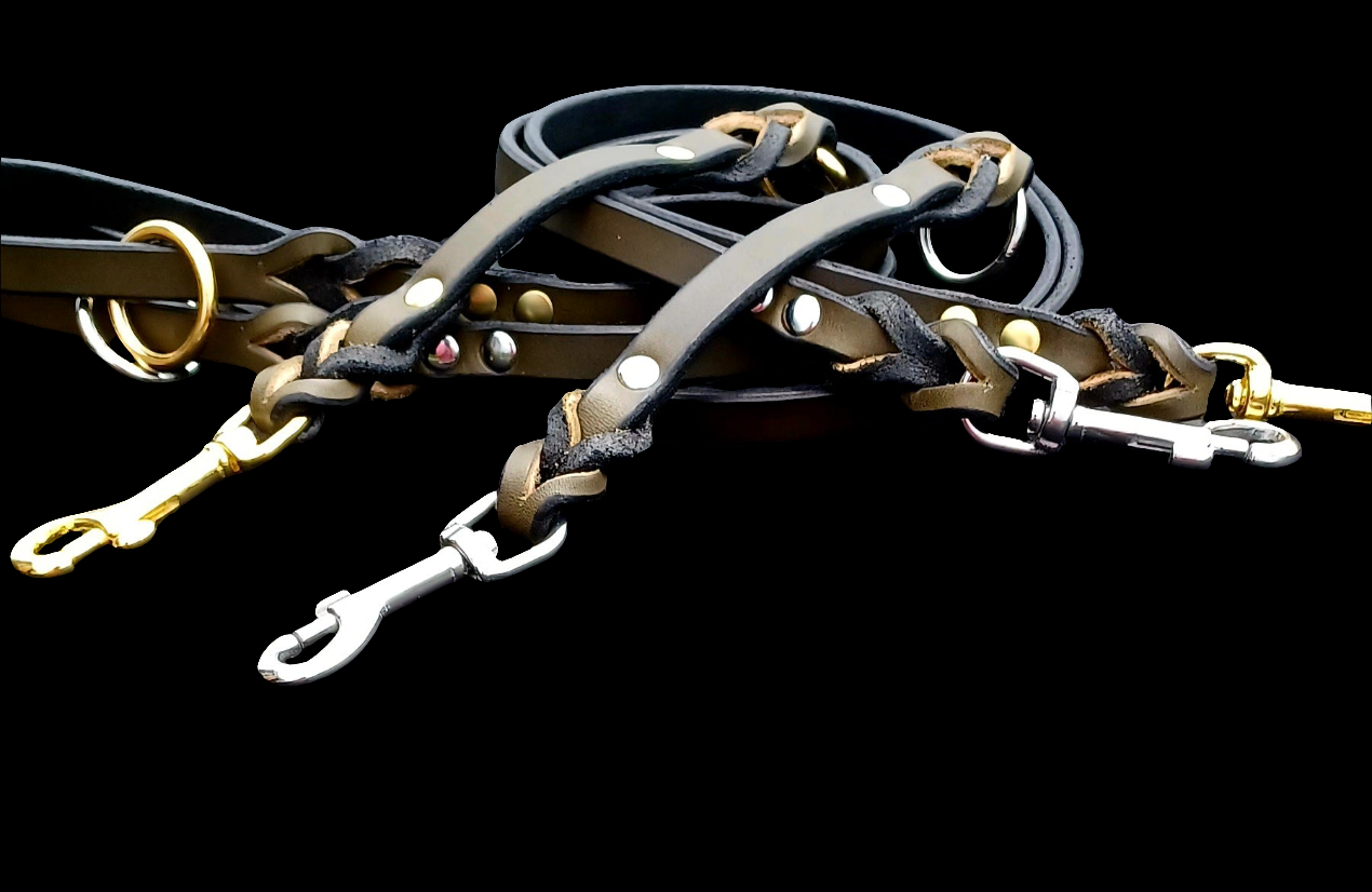 Olive green leash and training tab