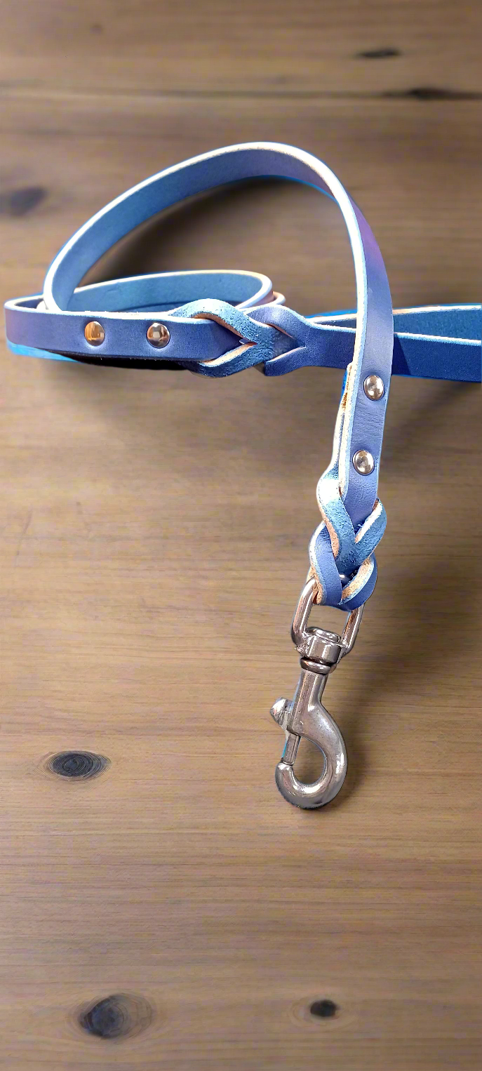 Blue leash