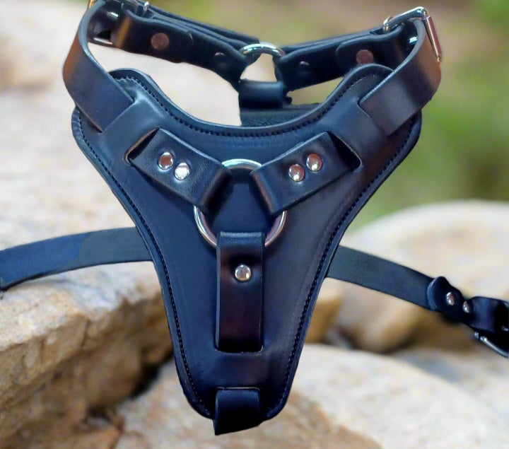 k9 gear Black Agitation harness – Rockin K9 Custom Dog Gear