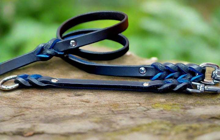 4' × 5/8" leash and training tab set