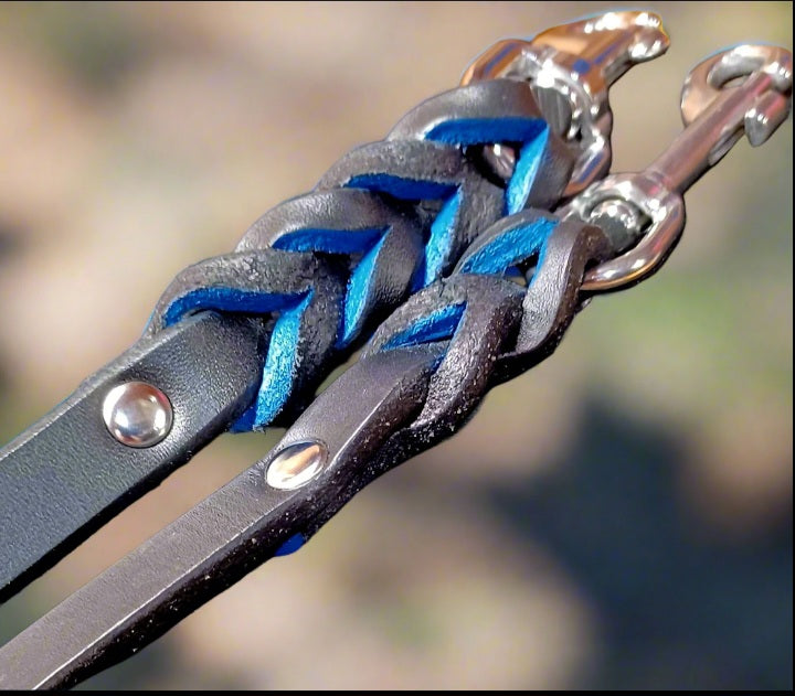 4' × 5/8" leash and training tab set