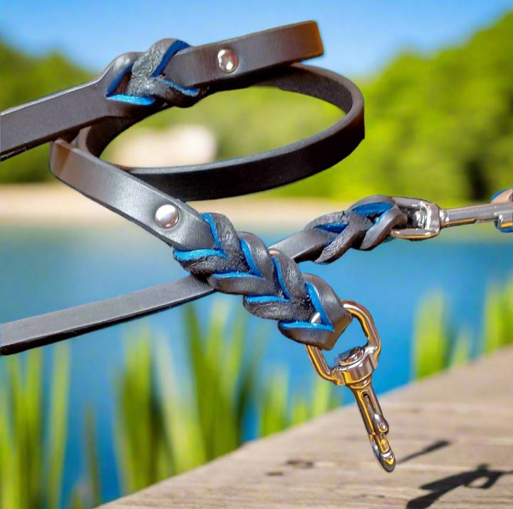 4' × 5/8" leash and training tab set