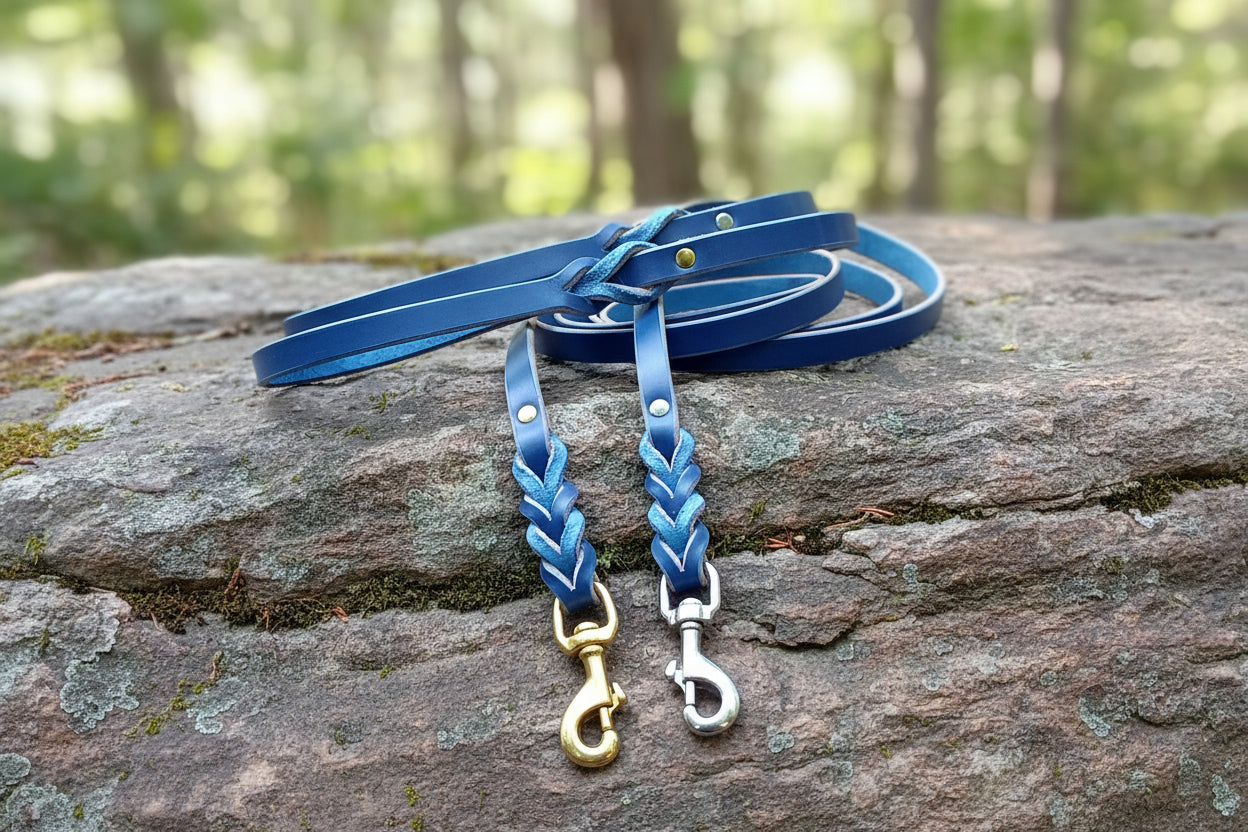 cobalt blue leash
