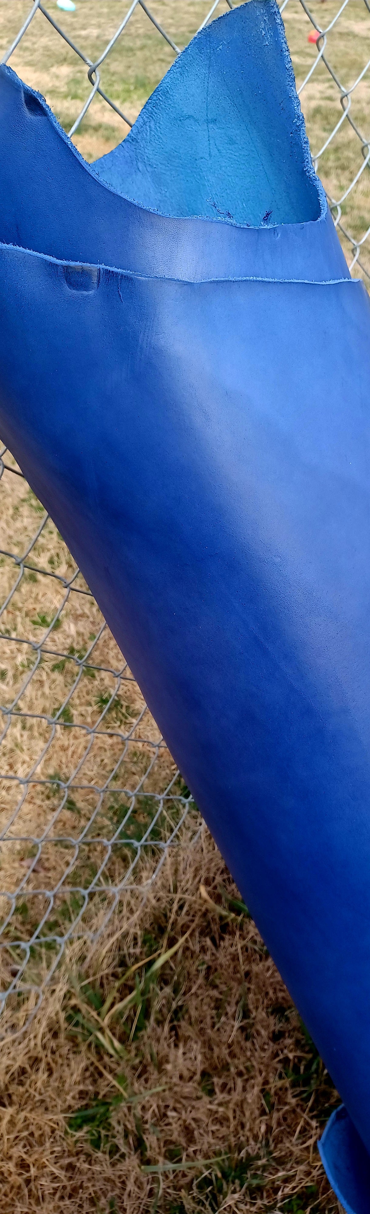 Blue leash