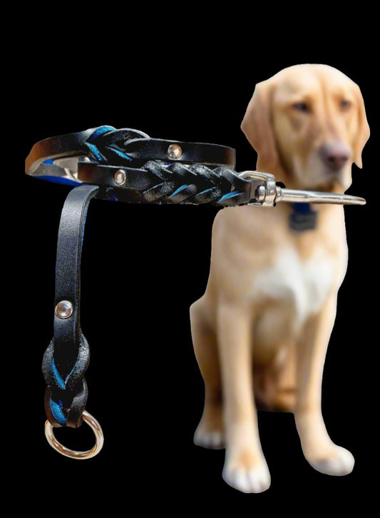 4' × 1/2" blue on black leash and training tab set.