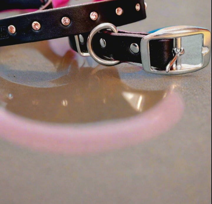Crystal  dog collar