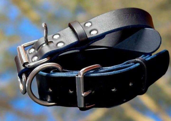 Wide leather collar 1.5"
