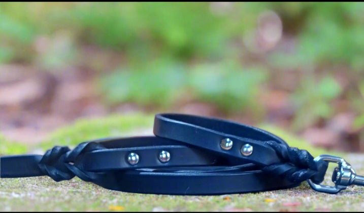 Agitation leash