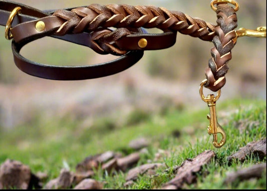 4' × 5/8"  braided latigo leash and fully braided tab , choclate brown