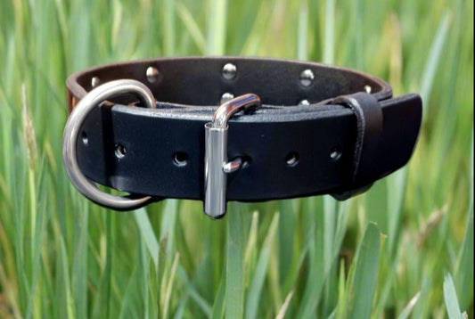 Wide leather collar 1.5"