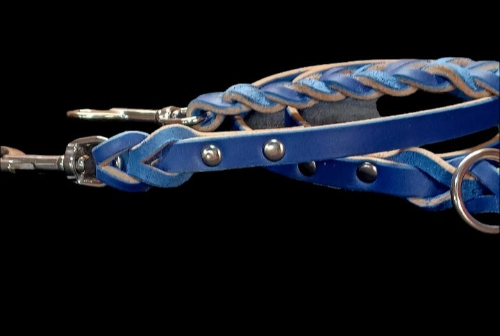 Blue leash and training tab