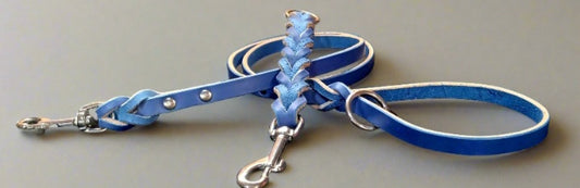 Blue leash and training tab