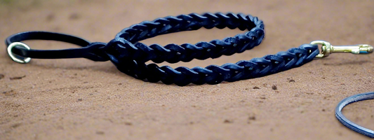 Black slot braided  3' leash
