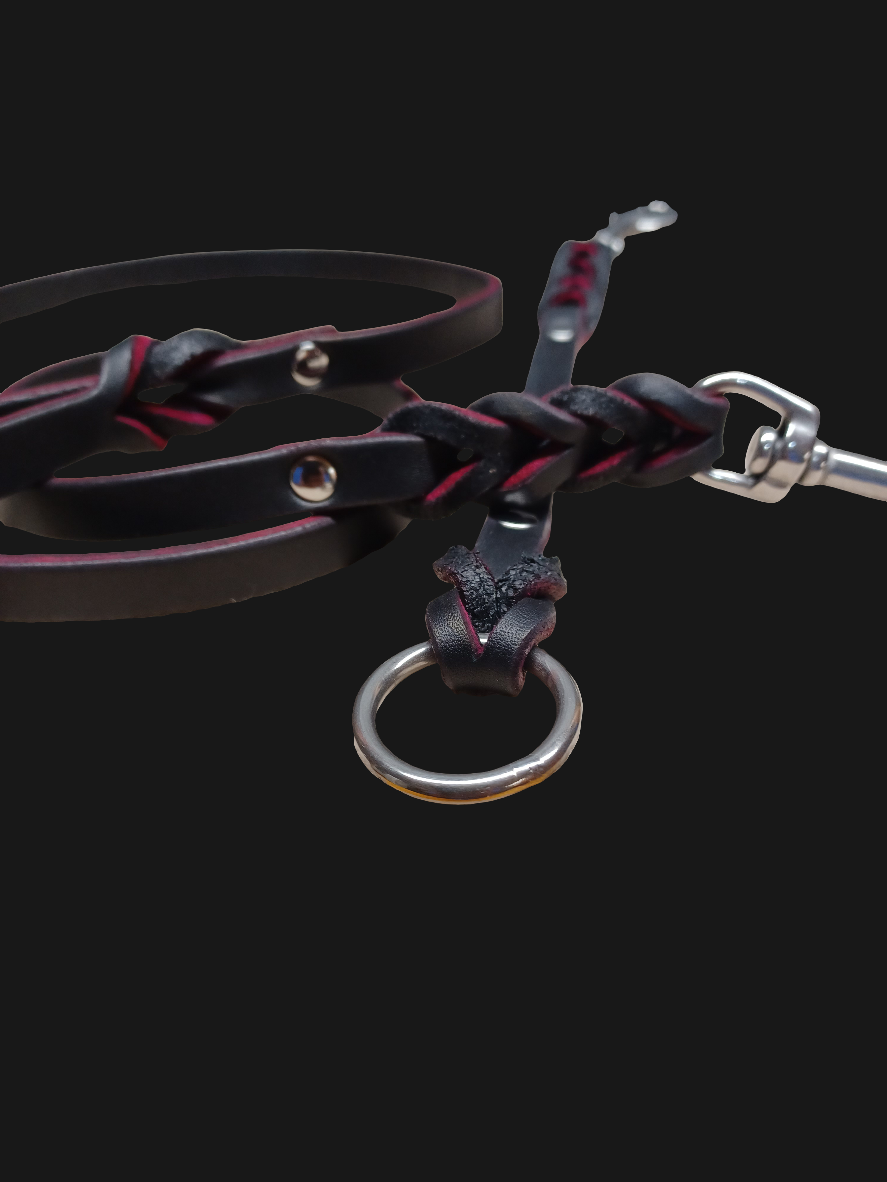 Pink/black English bridle leather leash and training tab set