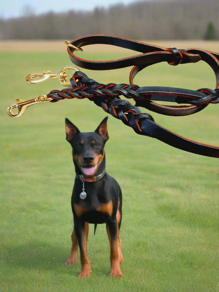 Orange/black English bridle leather long braided leash and training tab set