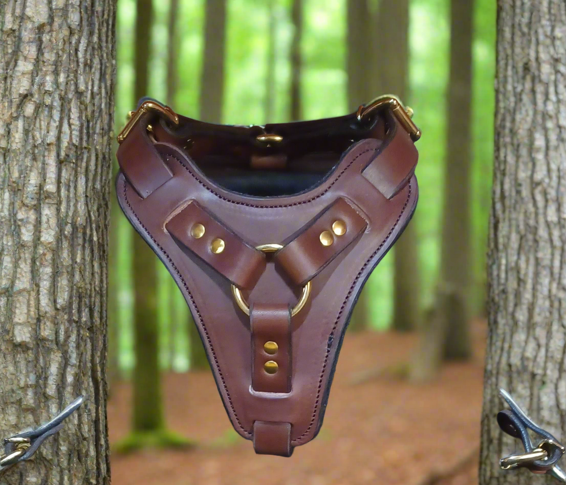 Brown agitation harness