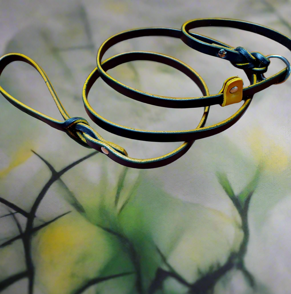 leather slip leash