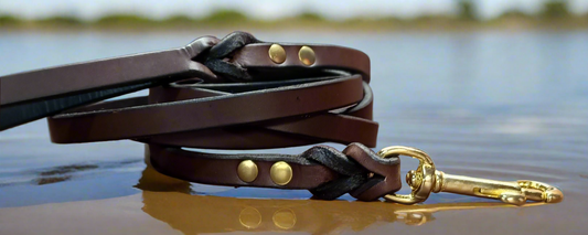 6' × 1/2" choclate brown obedience leash