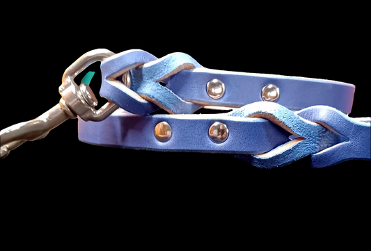 Blue leash