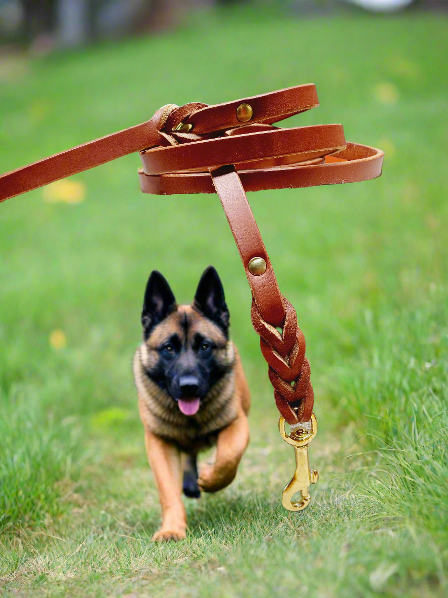 Braided,Chesnut english bridle obedience leash