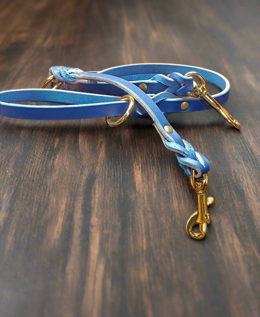 4×1/2" blue leash and training tab