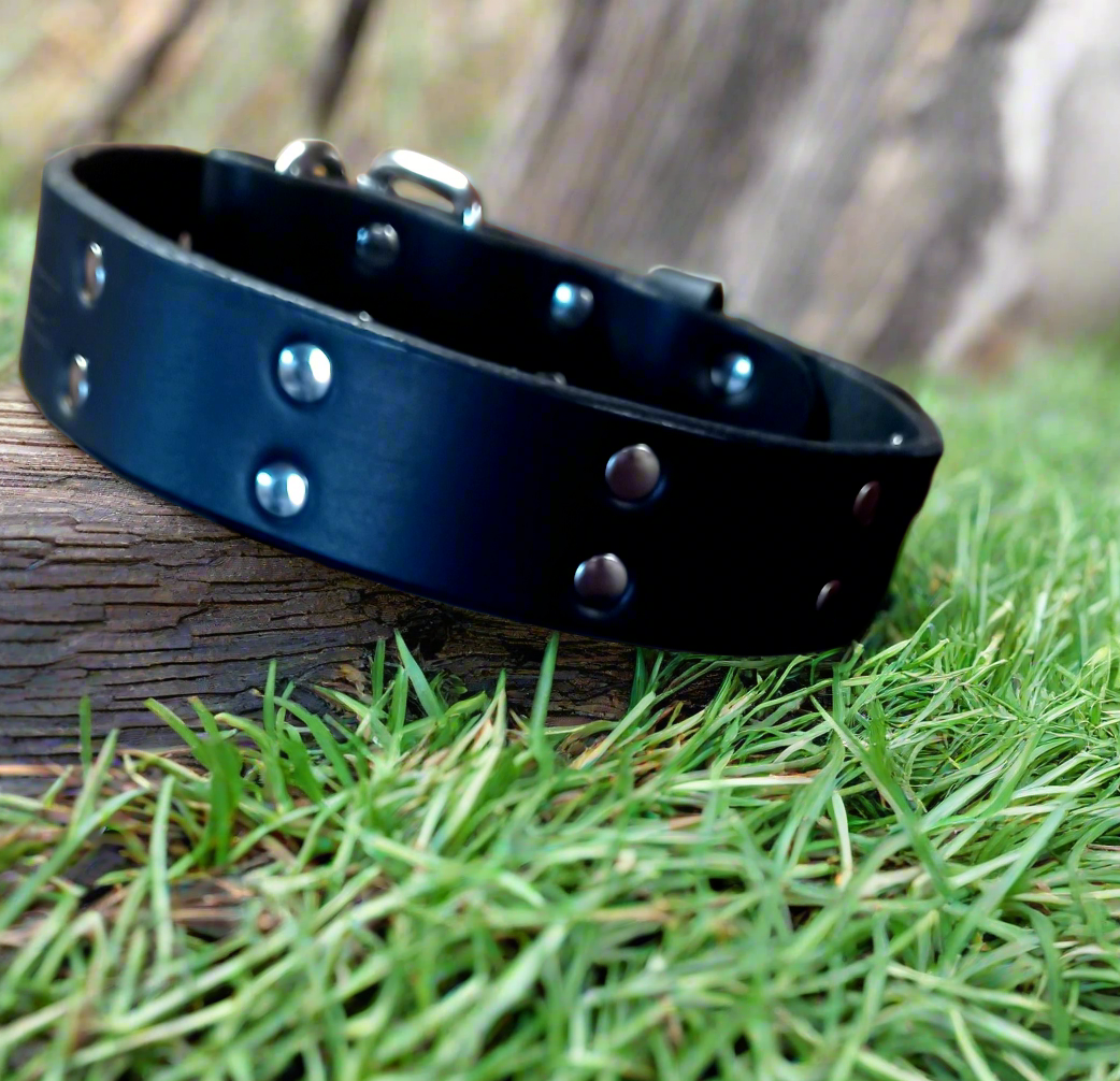 Wide leather collar 1.5"