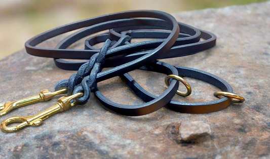 Black 4 foot Skinny leash