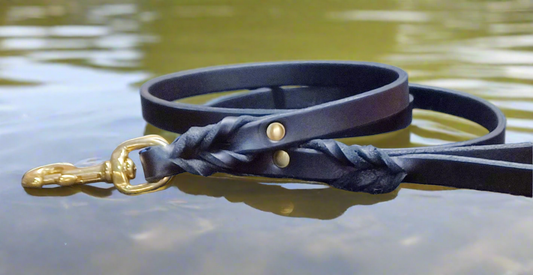 Agitation leash