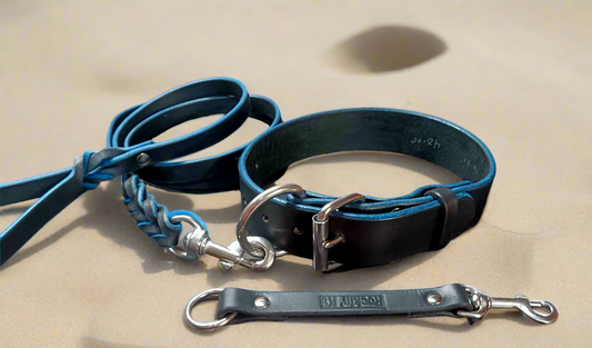 5' × 5/8"  blue on black leash