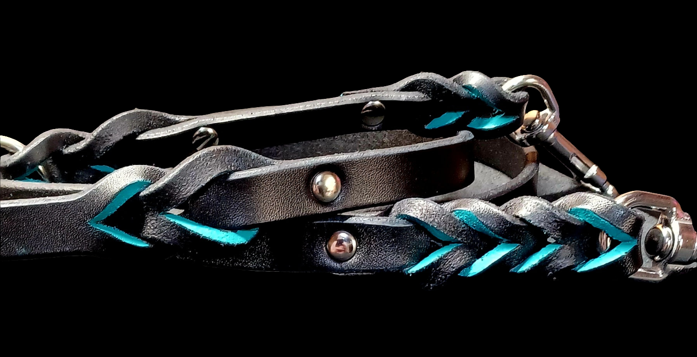4' × 5/8" leash and training tab set