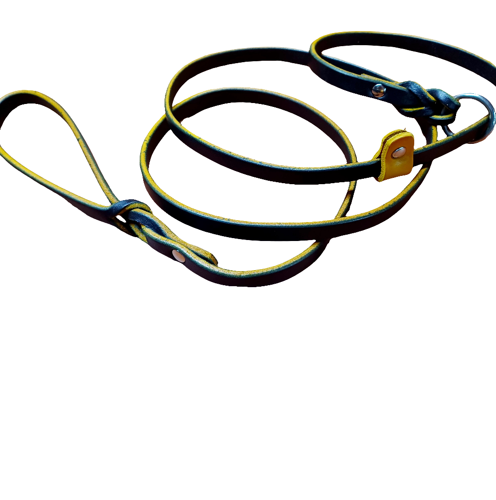 leather slip leash
