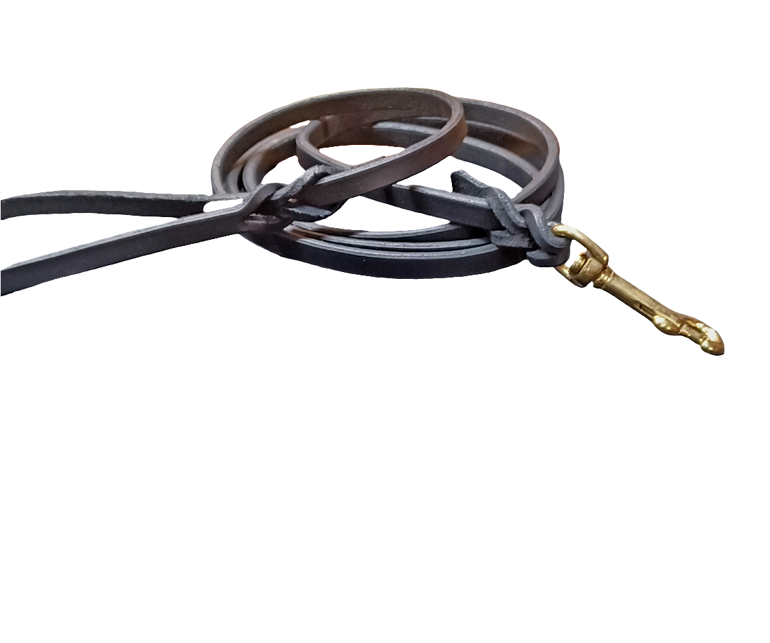 6×3/8" obedience leash