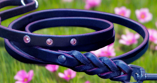 6' × 1/2 " black and pink leash