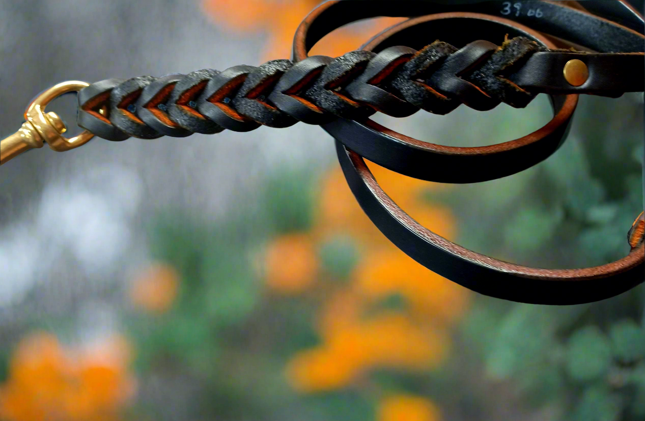 4'× 1/2" Black and burnt orange leash