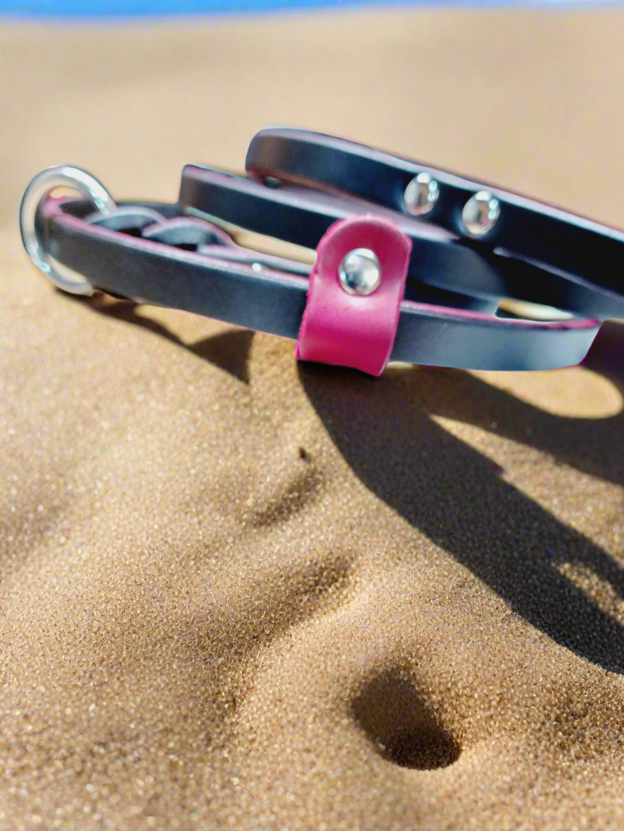leather slip leash
