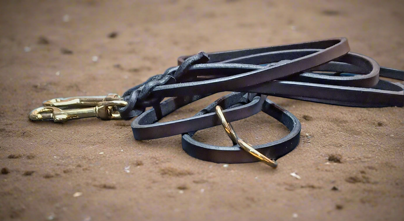 Black 4 foot Skinny leash