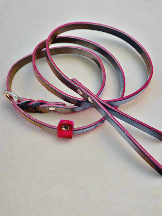 leather slip leash
