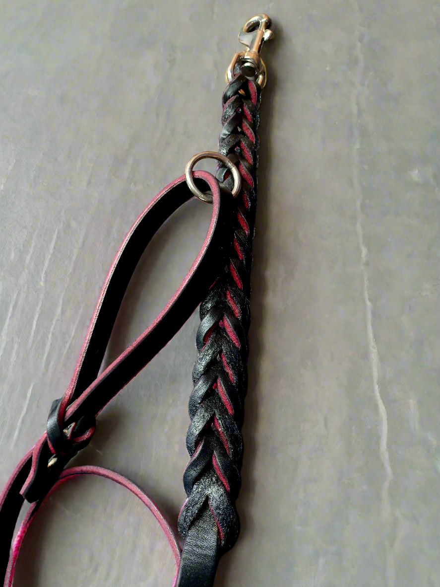 5/8" long braided pink and black leash