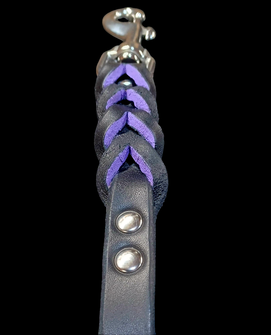 4' × 5/8" purple and black leash