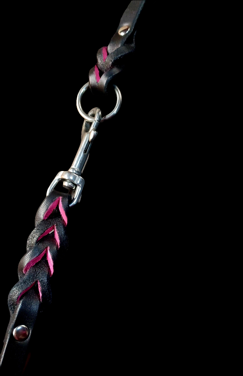 Black and pink leash and  training tab set