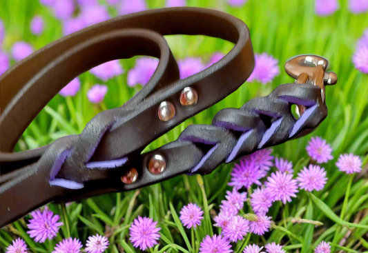 4' × 5/8" purple and black leash