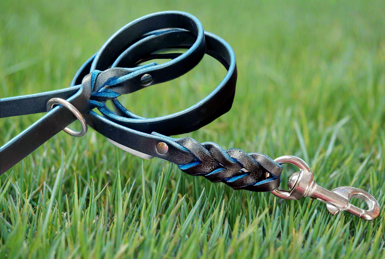 5' × 5/8"  blue on black leash