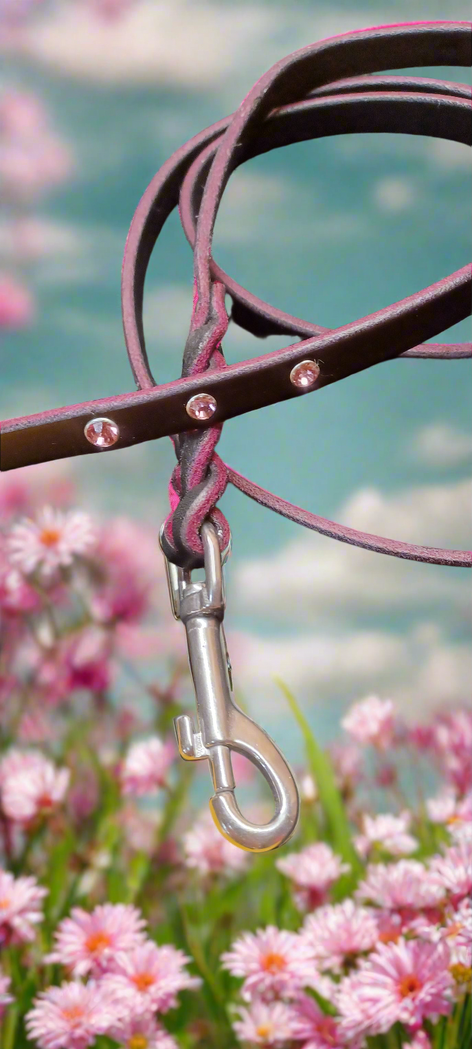 6' × 1/2 " black and pink leash