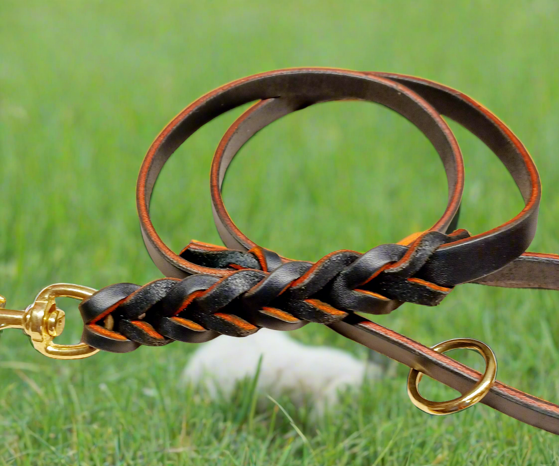Orange/black English bridle leather long braided leash and training tab set