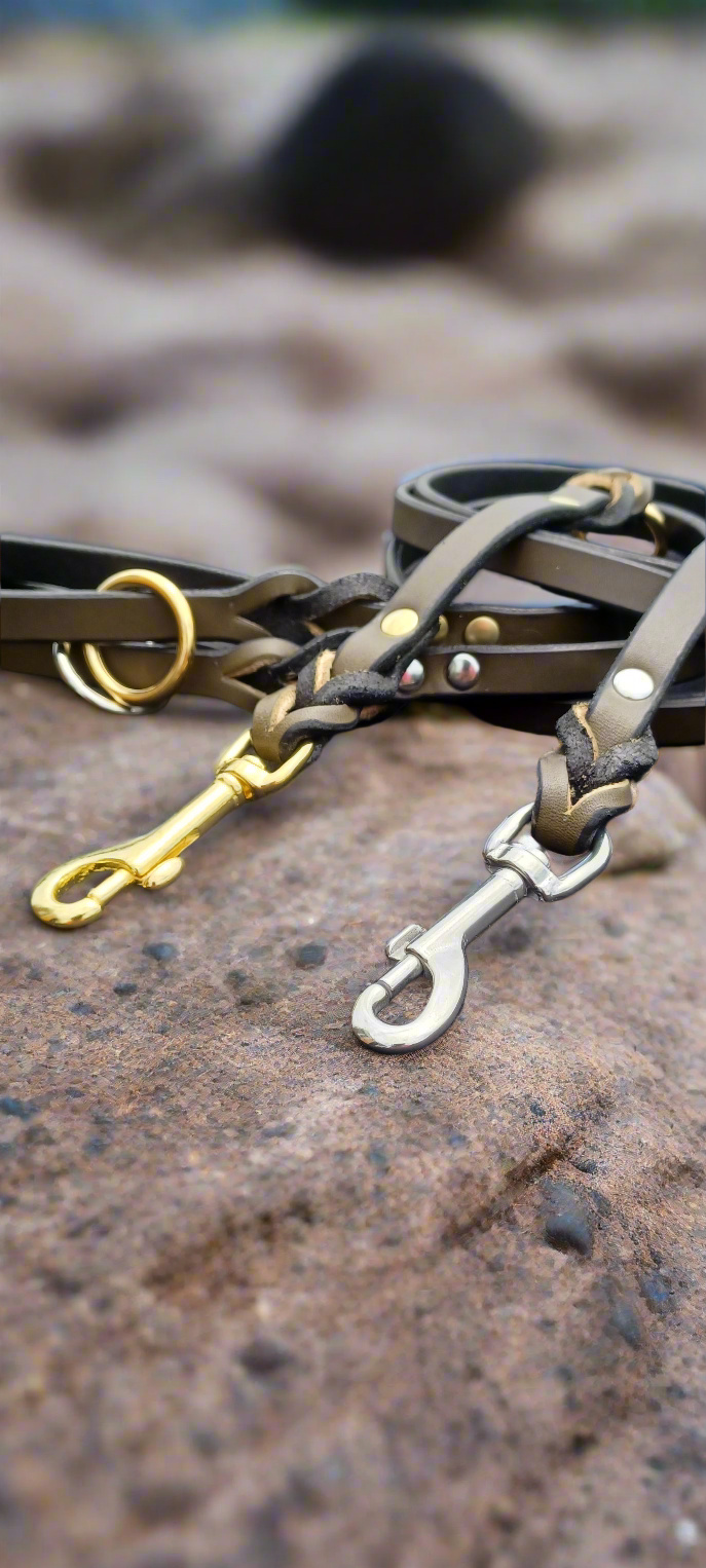 Olive green leash and training tab
