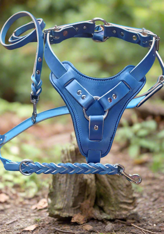 agitation harness